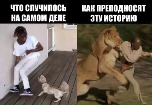 Смешная картинка №276338