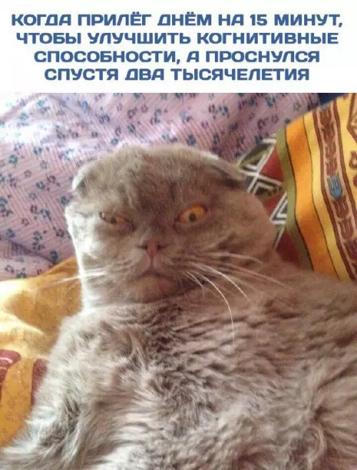 Смешная картинка №707384