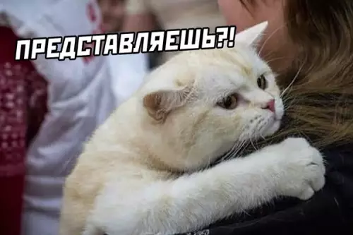 продолжение Смешная картинка №589030 Про рыбов