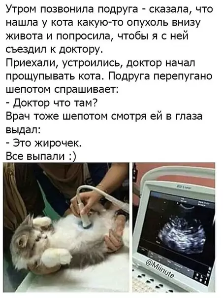 Смешная картинка №380713
