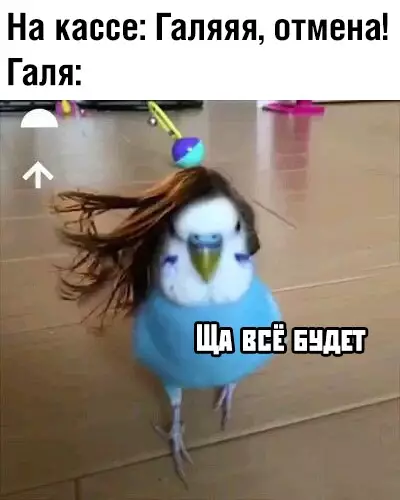 Смешная картинка №373861