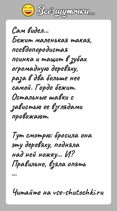 История: Сам видел...Бежит маленькая такая, псевдопородистая псинка и тащит в зубахогромадную деревяху, раза в два больше нее самой. Гордо бежит.Остальные шавки
