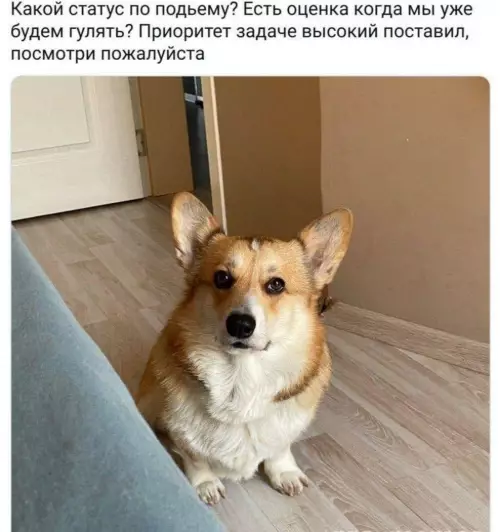 Смешная картинка №800699