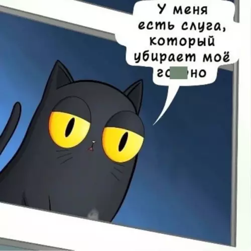 продолжение Смешная картинка №559535 Твoй кoтик живёт лyчшe, чeм ты