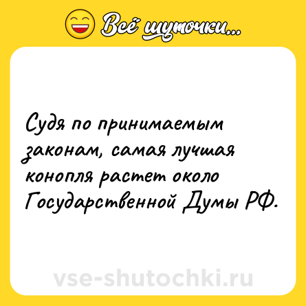 Шутка: Судя по принимаемым законам, самая лучшая конопля растет около Государственной Думы РФ.