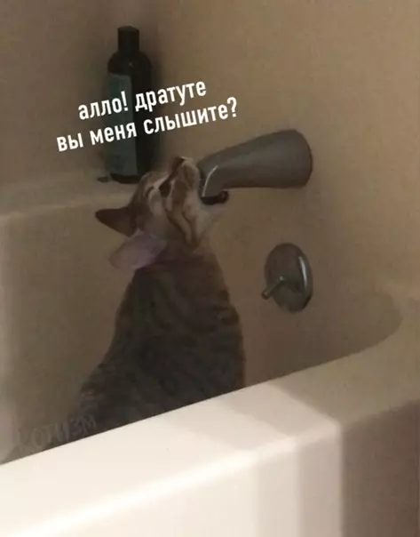 Смешная картинка №563698 Смесителефон