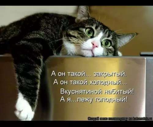 Смешная картинка №815361