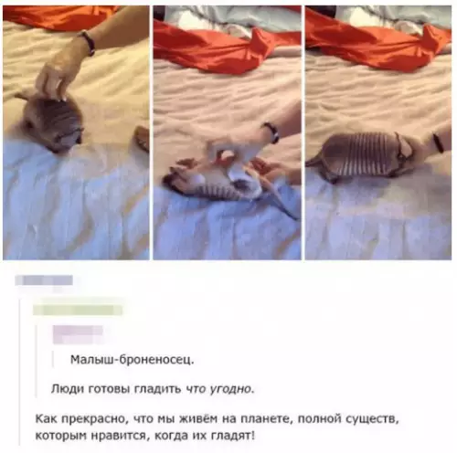 Смешная картинка №252435