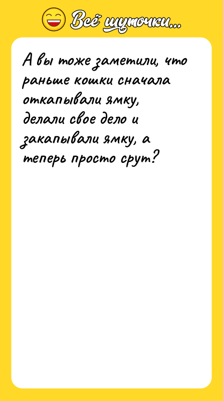 А вы тоже заметили, что раньше кошки сначала откапывали ямку,
