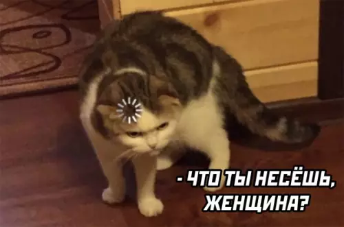 продолжение Смешная картинка №563424