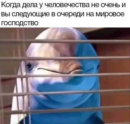 Смешная картинка №695708