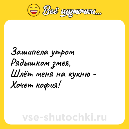 Шутка: Зашипела утром <br>Рядышком змея,<br>Шлёт меня на кухню - <br>Хочет кофия!