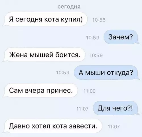 Смешная картинка №486840 Подумаешь, завел мышек