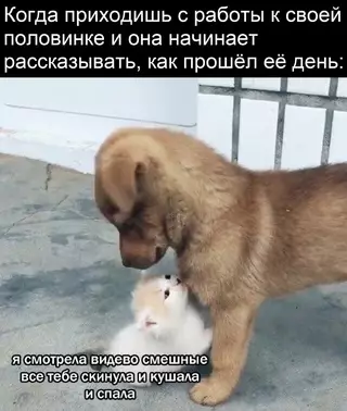 Смешная картинка №692851