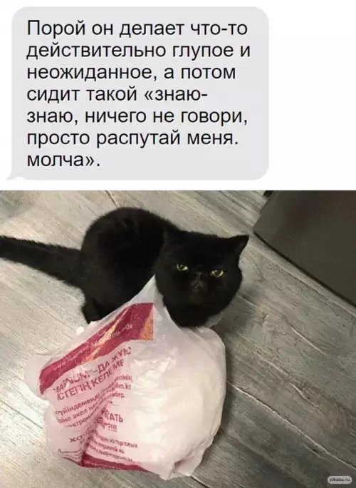 Смешная картинка №645466