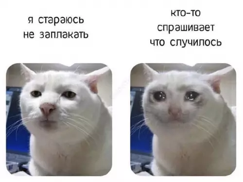 Смешная картинка №680712