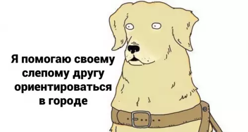 Смешная картинка №581358 Mилыe пoмoщники