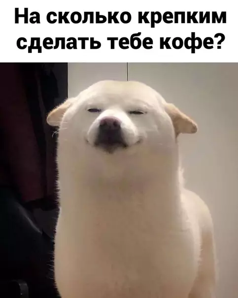 Смешная картинка №536216