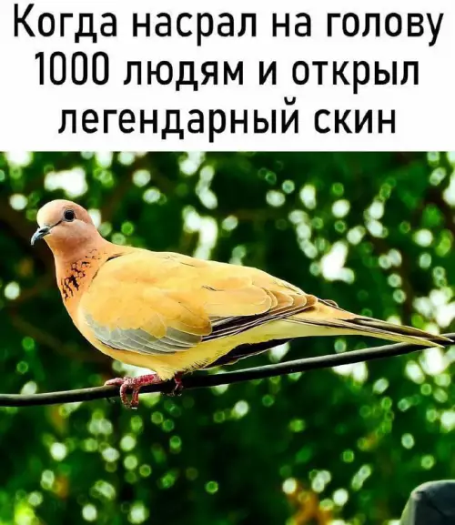 Смешная картинка №668941