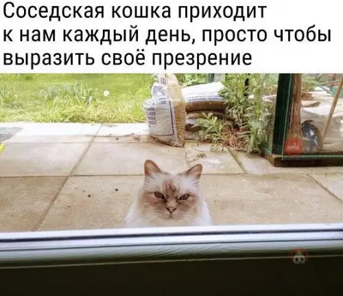 Смешная картинка №537123 "Мерзкие человечишки"