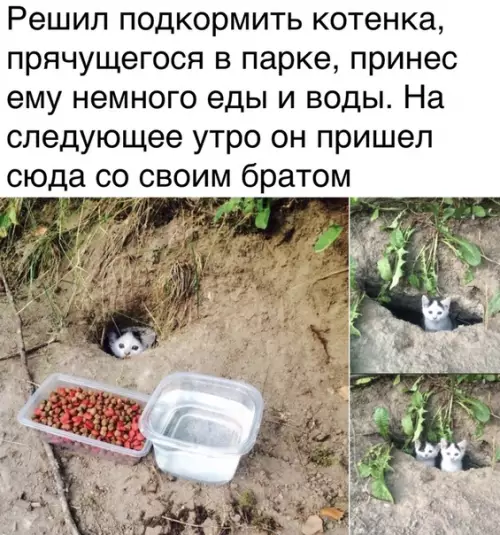 Смешная картинка №468621 Самое милое за сегодня)