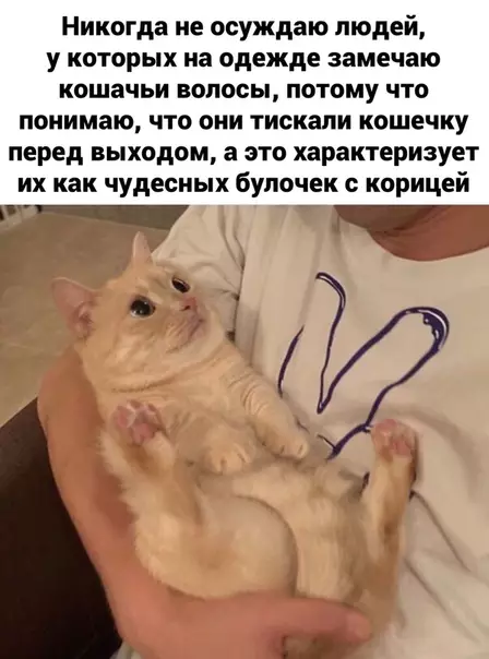 Смешная картинка №466702