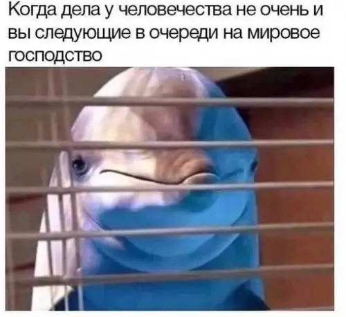 Смешная картинка №718595