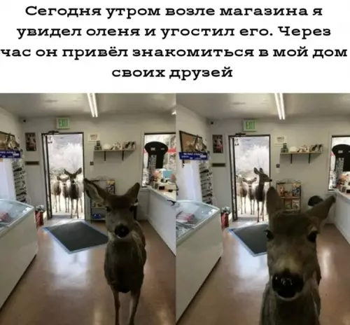 Смешная картинка №495562