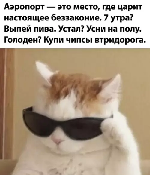 Смешная картинка №502287