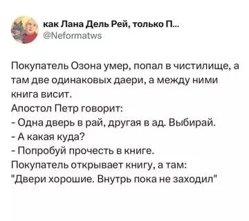 Выбор пути по отзывам 🚪😂 - Покупатель Озона умер, попал в чистилище, а там две одинаковых