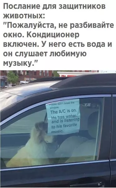 Смешная картинка №211292