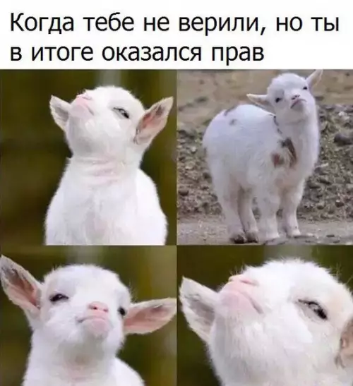 Смешная картинка №201926