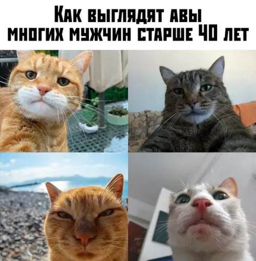 Смешная картинка №380510