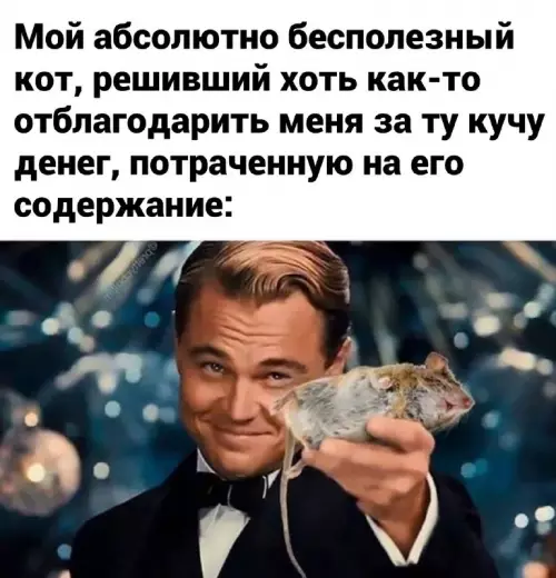 Смешная картинка №707724