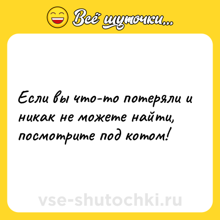 Шутка: Если вы что-то потеряли и никак не можете найти, посмотрите под котом!