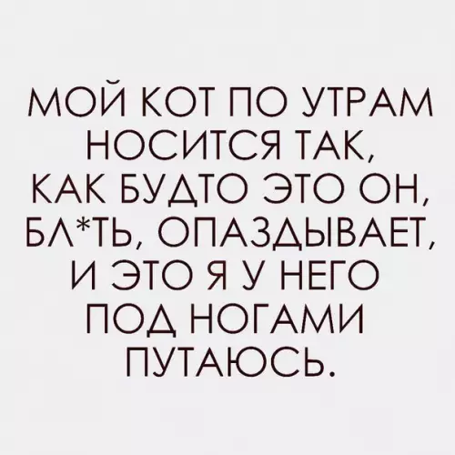Смешная картинка №212517