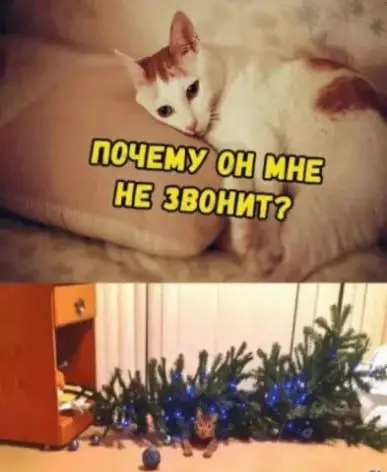 Смешная картинка №707116 Один смех