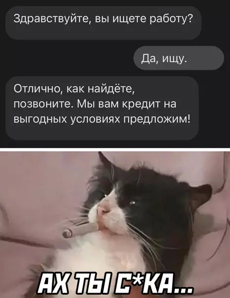 Смешная картинка №577763