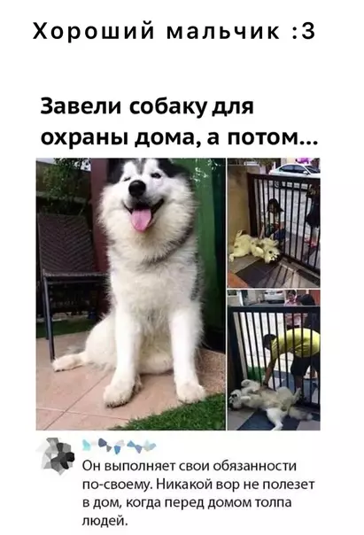 Смешная картинка №577806
