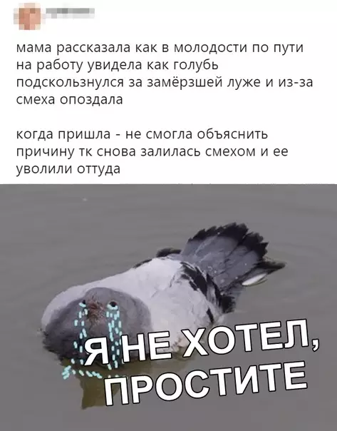 Смешная картинка №336902