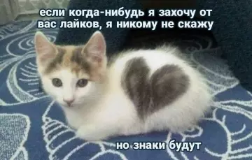 Смешная картинка №821801 знаки