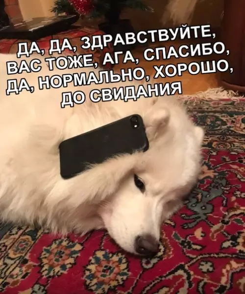 Смешная картинка №322813