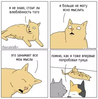 Смешная картинка №705354