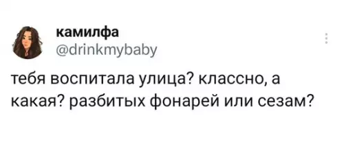 Смешная картинка №745865 Воспитала улица