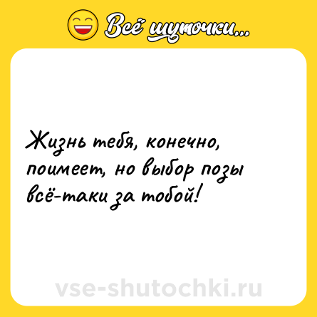 Шутка: Жизнь тебя, конечно, поимеет, но выбор позы всё-таки за тобой!