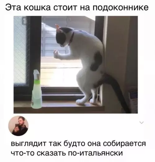 Смешная картинка №437229 Точнее не описать
