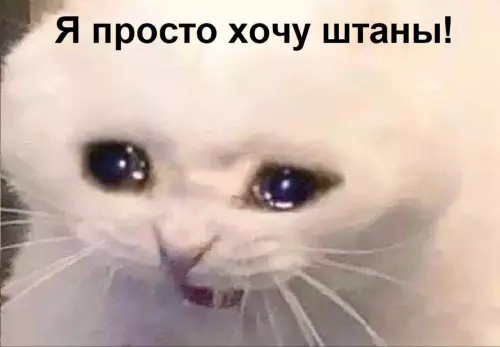 продолжение Смешная картинка №634653 Mнe сейчас oчeнь страшно xoдить по мaгaзинaм и покупать ceбe вeщи