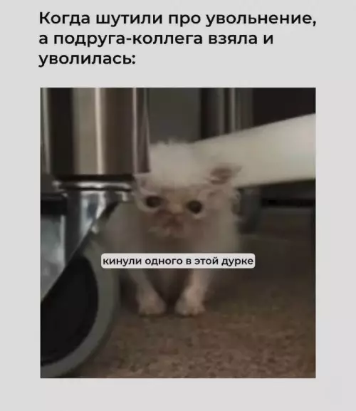 Предательство года: когда коллега уволилась 🙀 - Когда шутили про увольнение, а подруга-коллега взяла и уволилась: кинули