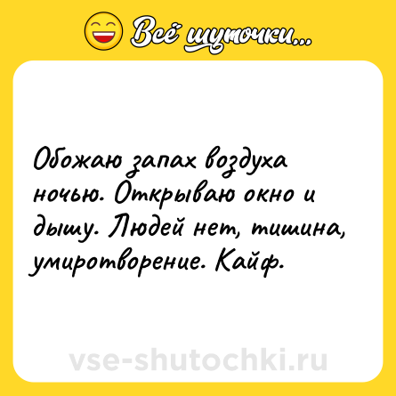 Шутка: Обожаю запах воздуха ночью. Открываю окно и дышу. Людей нет, тишина, умиротворение. Кайф.
