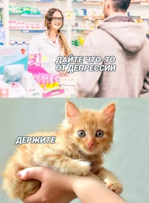 Смешная картинка №663581